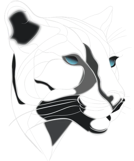 Black Puma